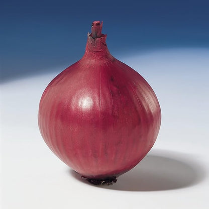 Seeds Red Baron Onion Non GMO Vegetable for Planting