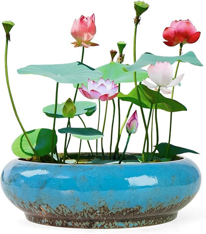 Lotus Bowl Planter - 7.3 Inch Large Lotus Flower Bowl for Water Plants, Ceramic Hydroponic Planter Water Lily Bowl for Planting Aquatic and Indoor Succulent Plants and Bonsai