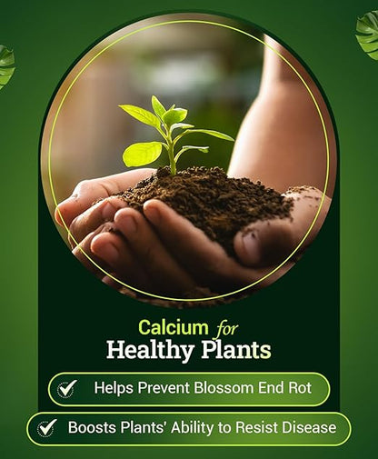 Fox Farm Happy Frog Tomato and Vegetable Fertilizer - Dry Tomato Fertilizer for Strong Growth, Plant Resistance, and Root Efficiency, NPK 5-7-3 (4 lb (2 Pack))