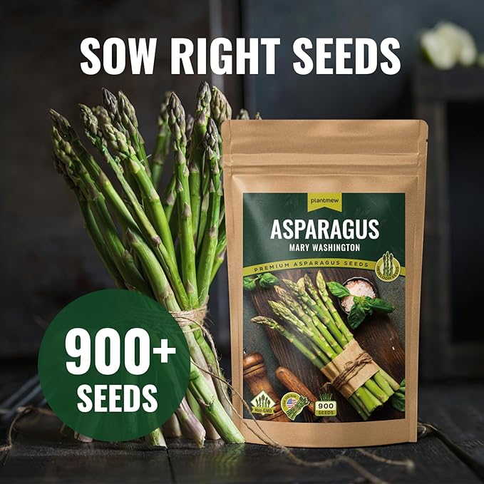 Mary Washington Asparagus Seeds - 900 Seeds, Non-GMO Heirloom Seeds with Planting Instructions for Outdoor Home Gardens