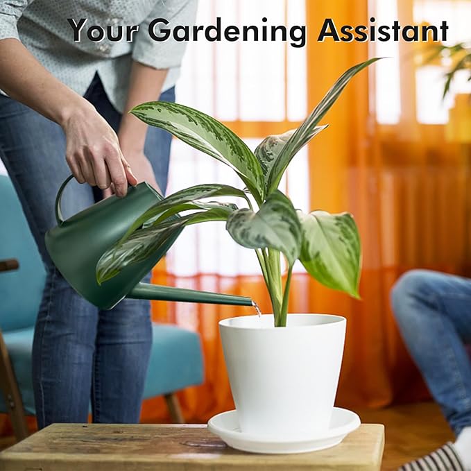 Watering Can for Indoor Outdoor Plants, Modern Small Watering Cans with Removable Nozzle, Long Spout Watering Can for Indoor Bonsai Plants Garden Flowers 1/2 Gallon 1.8L 60OZ (Dark Green)