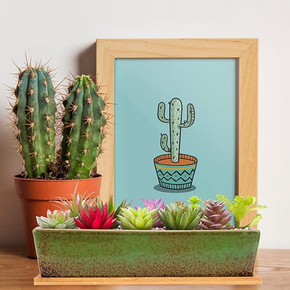 ARTKETTY Succulent Pots - Large Succulent Planter Pots with Drainage, 12 Inch Long Rectangle Bonsai Pot with Bamboo Tray Shallow Ceramic Cactus Flower Planter Window Box for Home Garden Decor (Green)