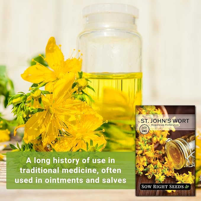 Sow Right Seeds - St John’s Wort Seeds for Planting - Non-GMO Heirloom Packet with Instructions to Plant & Grow an Outdoor or Indoor Herb Garden - Native Wildflower with Medicinal & Culinary Uses (3)