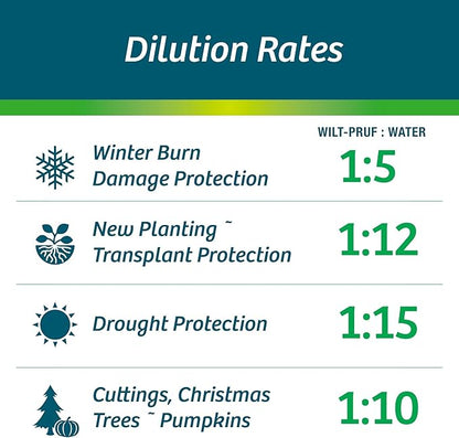 Wilt-Pruf® Concentrate | Protect Against Winter Damage, Drought, and Stress | Just Spray & Let Dry | Locks in Moisture w/Clear Foliar Film | Professional-Grade & Trusted | Replaces Burlap | (5 Gal)