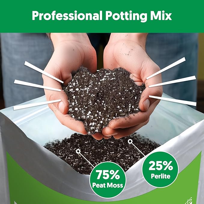 Succulent Cactus Potting Soil Mix (12 qt), All-Purpose Garden Potting Mix for Indoor Outdoor Plants, Quick Drain Houseplant Orchid Bonsai Perlite Soil, Ready-to-Use, Resealable Bag Design