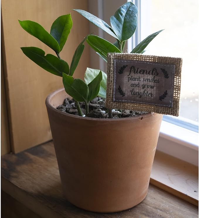 Abbey & CA Gift Friends Plant Smiles Flag Flower Pick