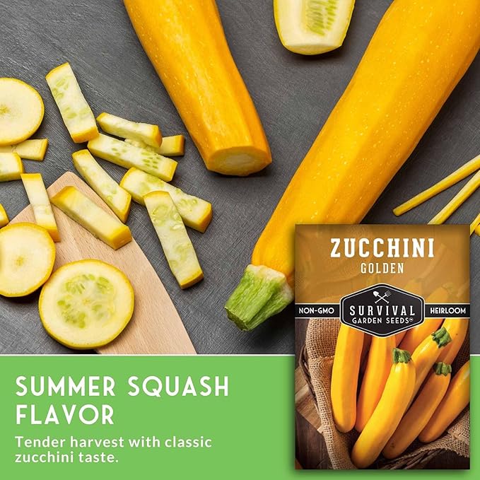 Golden Zucchini Seeds for Planting - Plant & Grow Yellow Zucchini Vegetables in Your Home Vegetable Garden - Non-GMO Heirloom Variety - Survival Garden Seeds (2 Packs)