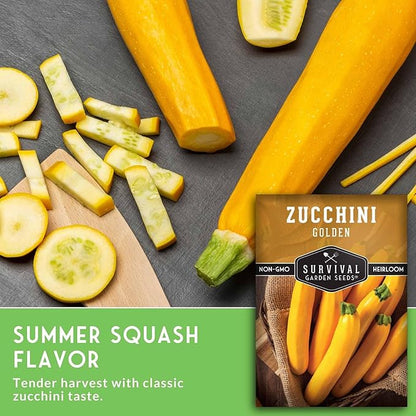 Golden Zucchini Seeds for Planting - Plant & Grow Yellow Zucchini Vegetables in Your Home Vegetable Garden - Non-GMO Heirloom Variety - Survival Garden Seeds (5 Packs)