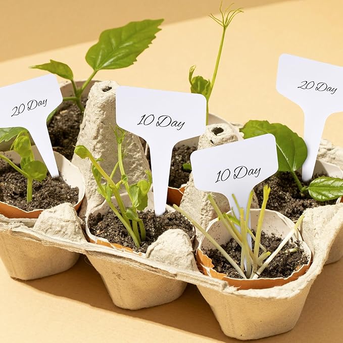 95pcs Plastic Plant Labels, 6x10cm Waterproof Plant Name Tags for Identifying Outdoor and Indoor Seedling, Herbs, Vegetables, Flowers, Potted Plants (White, 95pcs)
