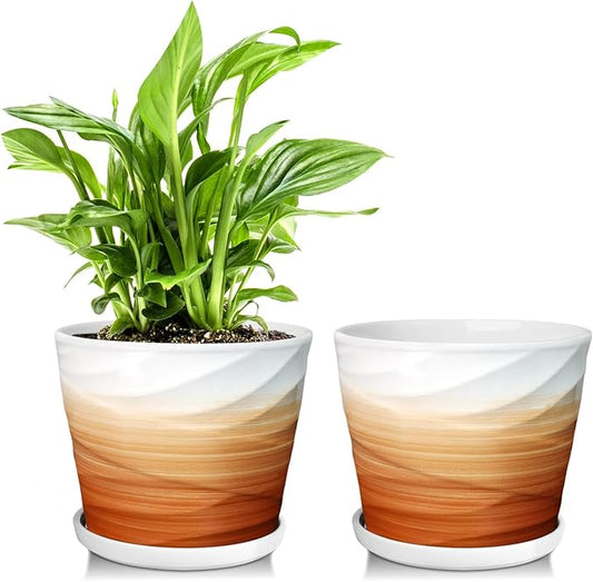6 Inch Plant Pot,Ceramic Planter with Drainage and Saucer,Ceramic Pots for Plants,Indoor Plant pots,planters for Indoor Plants(6.7 in Diameter,2 Pack)