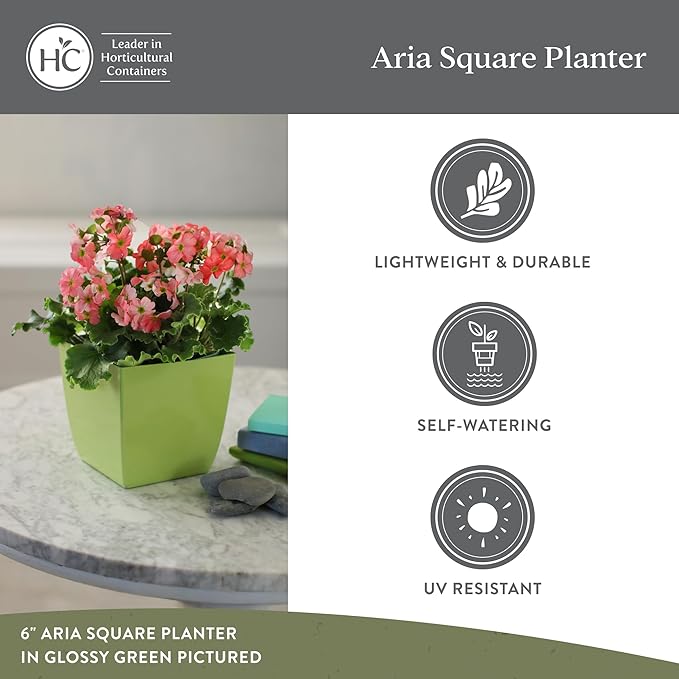 The HC Companies 6 Inch Aria Square Planter - Plastic Plant Pot for Indoor Outdoor Plants Flowers Herbs, Glossy Black