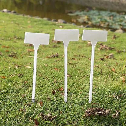 60 Pcs 30 x 9cm White Plant Name Size Tags T Type Plant Markers Plastic Garden Seed Signs Long Vegetable Labels Flower Pot Label Stakes for Outdoor Greenhouse