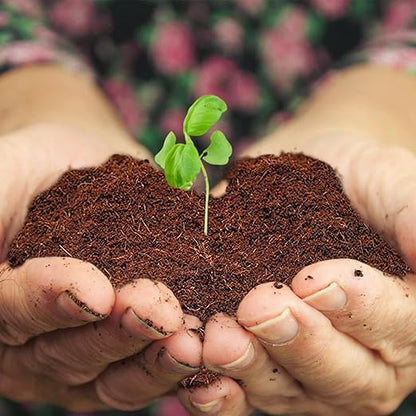 Home and Country Triple Washed Compressed Coco Coir Brick (20 LBS) - Coco Fiber is an Ideal Compost Starter for Your Home Garden. Coco Coir Bricks Provide Organic Alternative to Peat Moss for Plants.