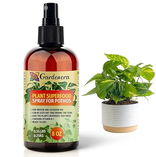𝐁𝐄𝐒𝐓𝐒𝐄𝐋𝐋𝐄𝐑 Plant Superfood for POTHOS Plants with Essential Minerals - Premium Organic Plant Food Fertilizer for Indoor & Outdoor Pothos Plant Care - 8oz