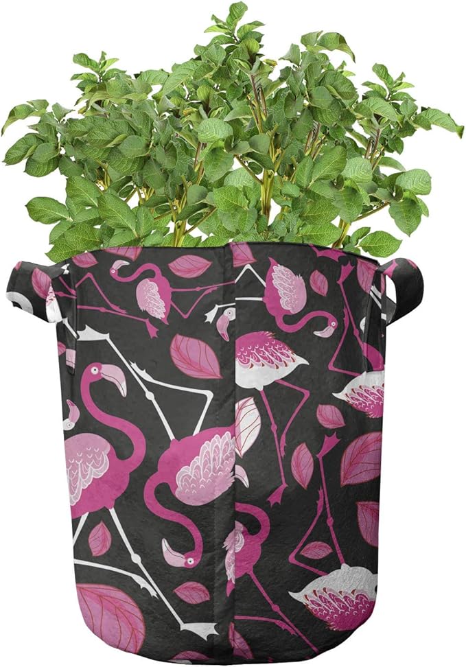 Ambesonne Plant Grow Bags 5-Pack, Cactus Buds Types Pattern, Heavyduty Fabric Pots with Handles for Plants, Green Blue