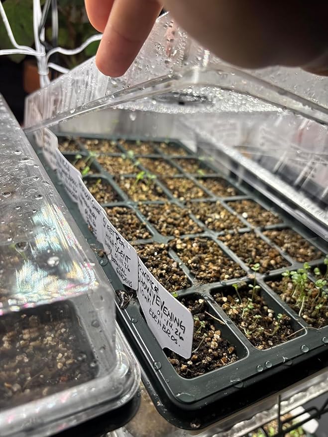 24XL Cell Seed Starter Tray with Dome-5 Pack 2'' Plug Seedling Trays(total 120 cells), Plant Germination Tray with Humidity Vented Lid and Base, Mini Propagator Plant Greenhouse for Seed Growing