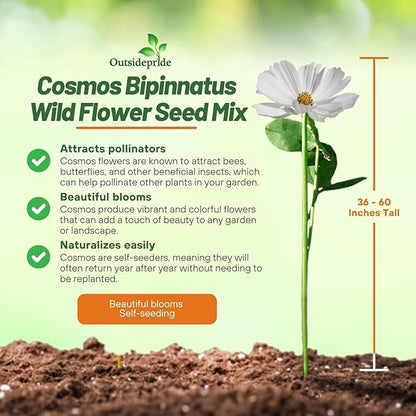 Outsidepride Sensation Mix Cosmos Bipinnatus Seeds - 1000pcs Annual, Drought-Tolerant, Self-Sowing, Mixed Flower Seeds for Planting Outdoors, Easy-Grow Pollinator Garden & Cut Flowers (AAS Winner)