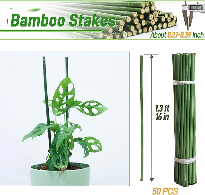 50Pcs 16in Bamboo Sticks for Indoor Outdoor Plants, 0.29"-0.38" Natural Bamboo Poles, Durable Garden Stakes for Tomatoes, Beans, Flowers and Potted Plants