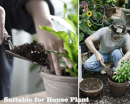 Houseplant Potting Mix, Fertilized, Perlite Soil for All Types of Indoor House Plants and Tropical Plant 1 qt
