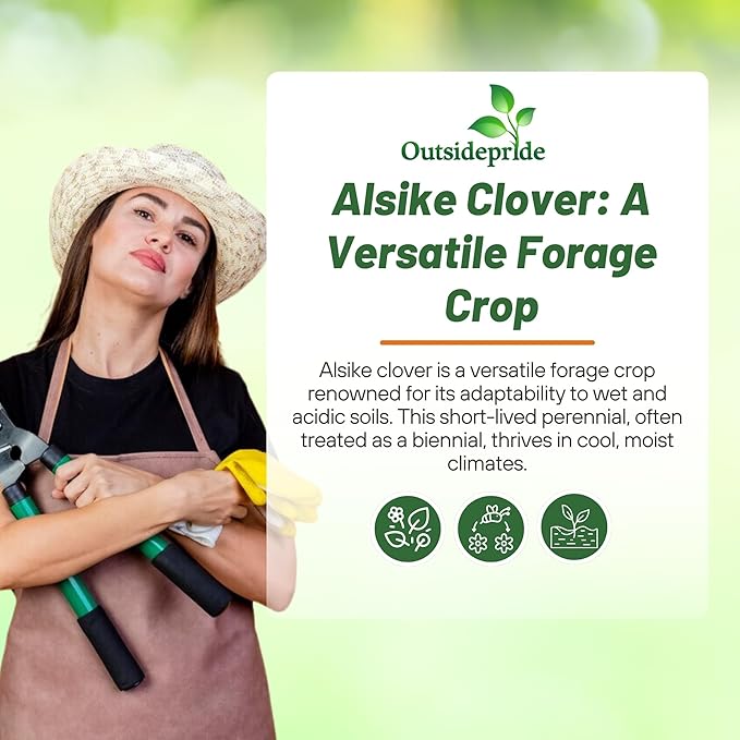 Outsidepride Biennial Alsike Clover Seeds for Lawn - 50 lbs. Nutrient-Rich, Drought Resistant Cover Crop Seeds, Ideal For Ground Cover, High-Yield Forage, Hay, Pastures, Food Plots & Grazing Livestock