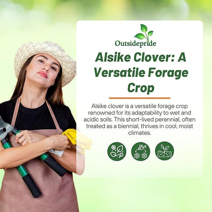 Outsidepride Biennial Alsike Clover Seeds for Lawn - 50 lbs. Nutrient-Rich, Drought Resistant Cover Crop Seeds, Ideal For Ground Cover, High-Yield Forage, Hay, Pastures, Food Plots & Grazing Livestock