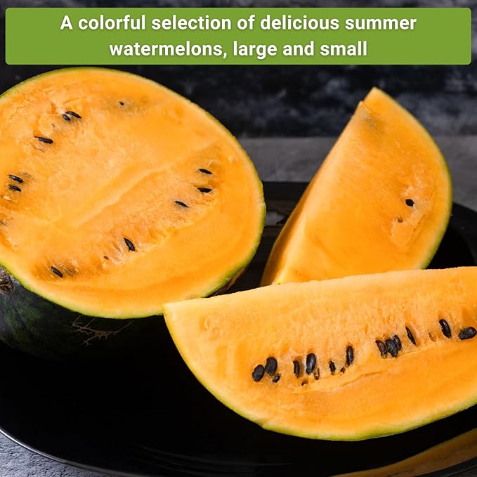 Sow Right Seeds - Tri-Color Watermelon Seed Collection for Planting - Red Jubilee, Yellow Petite and Orange Tendersweet Watermelons - Non-GMO Heirloom Seeds to Plant a Home Vegetable Garden
