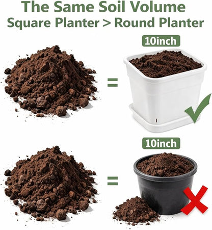 10 Inch Square Planters with Saucers - 5 Pack Large White Plastic Plant Pots with Raised Airflow Center & Corner Vents - Heavy Duty 5mm Thick Orchid Pots for Indoor Outdoor Vegetables & Trees