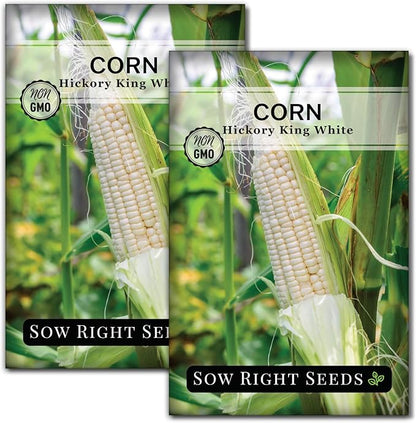Sow Right Seeds - Hickory King White Corn Seeds for Planting - Non-GMO Heirloom Packet with Instructions to Plant & Grow an Outdoor Home Vegetable Garden - Rare Cream Color, Large Stalks and Ears (2)