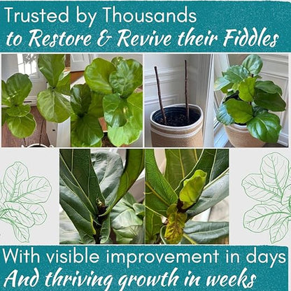 Fiddle Leaf Fig Rescue Drops – Treats Root Rot, Brown Spots, Leaf Drop & Stress | Immune Boosting Liquid Formula Concentrate | Easy to Use | Safe for All Tropical Plants | 3.3 oz | Made in USA