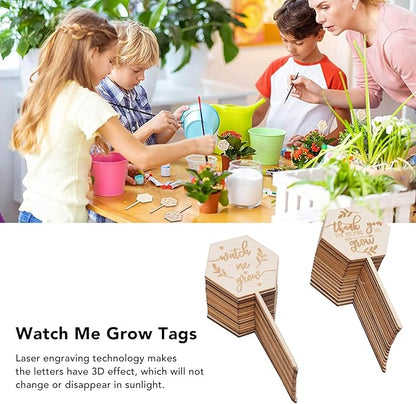 Watch Me Grow Succulent Tags, Wooden Plants Labels Thank You for Helping Me Grow Garden Marker Hexagon Planter Sign Decorations Gift for Greenhouse Potted Vegetable Seedling Baby Shower 36Pcs