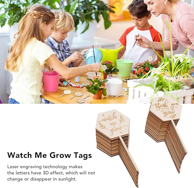 Watch Me Grow Succulent Tags, 36pcs Hexagon Plant Stakes Labels Baby Shower Succulent Tag for Seed Flowers Garden Potted Plants