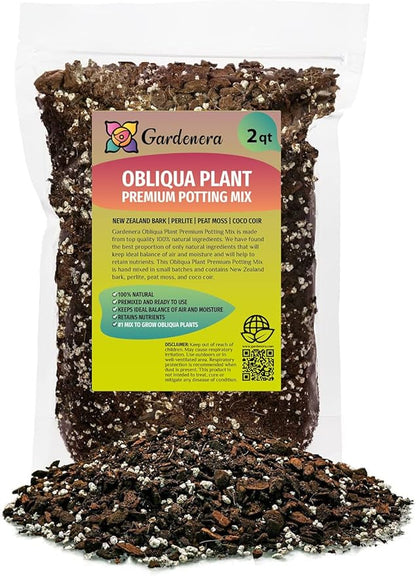 GARDENERA Monstera Obliqua Soil Mix - Specially Formulated for Strong Root Development - 2 Quart