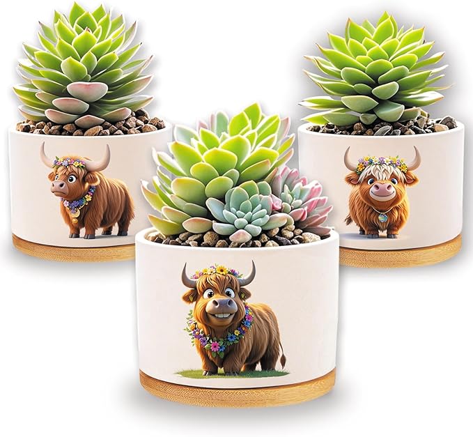 Highland Cow Planters for Indoor Plants – 1350°C Kiln-Fired Fine Ceramic Succulent Planter Set of 3, Funny Animal Pots for Room, Bathroom, Yoga, Meditation Decor (No Plant Included)