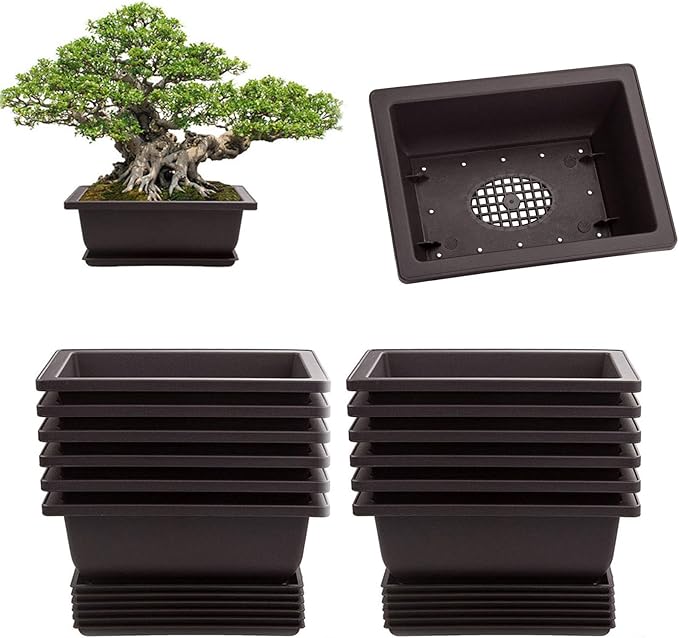 LANIAKEA 12 Pack Bonsai Pot with Trays 6.5 Inch Nursery Pots with Drainage Plastic Bonsai Training Pots for Home Furnishings Décor Flower Nursery Brown