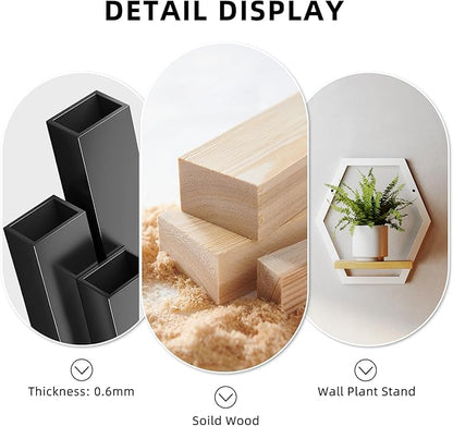 Modern White Hexagon Wall Planters with Solid Wood Shelves Set of 3 Geometric Floating Wall Decor for Indoor Plants, Stylish Wall Mounted Display for Succulents & Small Plants