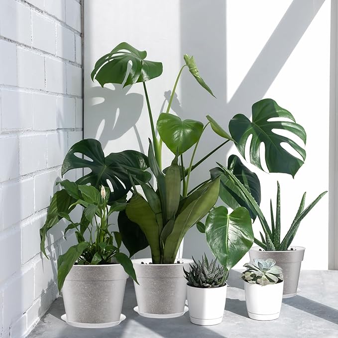 Baderke 3 Pack Clear Nursery Pot Plastic Nursery Pot Large Plant with Drainage Holes for Root Health Indoor Outdoor(9.25 Inches,9.65 Inches,11.65 Inches)