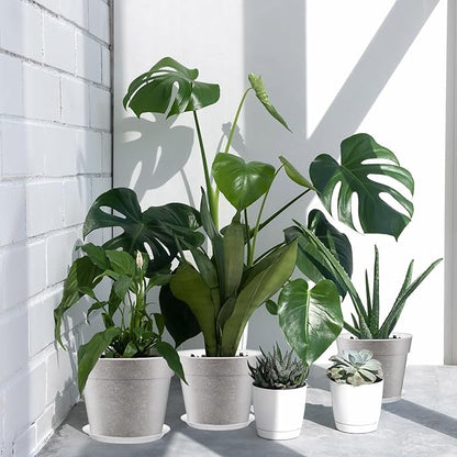 Baderke 3 Pack Clear Nursery Pot Plastic Nursery Pot Large Plant with Drainage Holes for Root Health Indoor Outdoor(9.25 Inches,9.65 Inches,11.65 Inches)