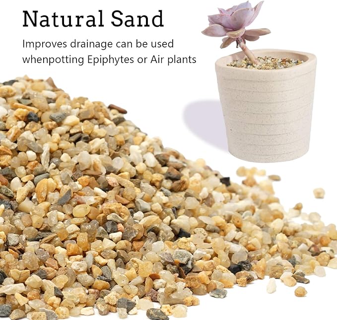 5 lb Coarse Sand Stone - Succulents and Cactus Bonsai DIY Projects Rocks, Decorative Gravel for Plants and Vases Fillers，Terrarium, Fairy Gardening, Natural Stone Top Dressing for Potted Plants.