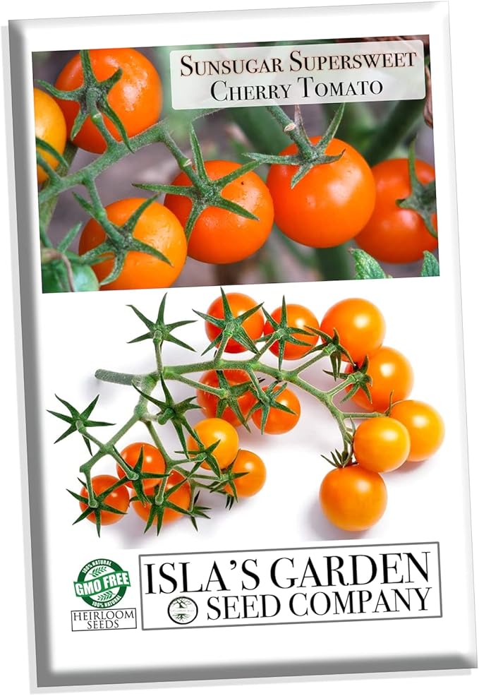 Sunsugar Hybrid Supersweet Cherry Tomato Seeds, 20 Seeds Per Packet, (Isla's Garden Seeds), Non GMO & Heirloom Seeds, Scientific Name: Lycopersicon lycopersicum, Great Home Garden Gift