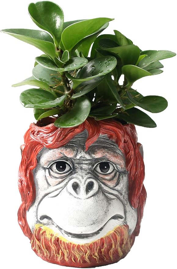 Funny Planter Head Planter with Drainage Hole Resin Plant Pot Pencil Holder Desk Storage(Gorilla)