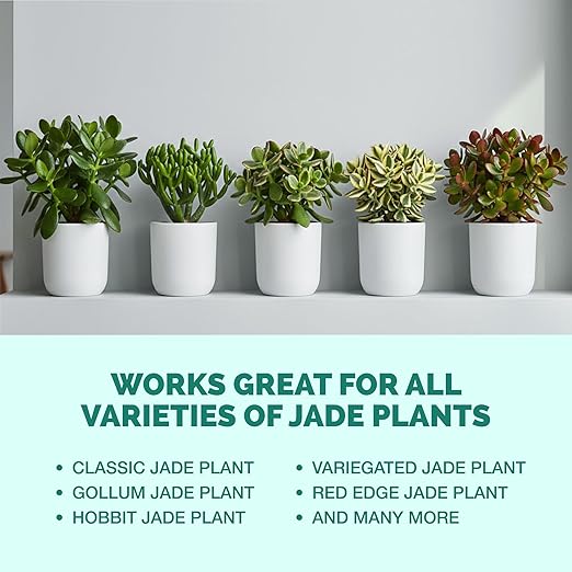 TPS NUTRIENTS Jade Fertilizer for All Jade and Crassula Plants, Liquid Plant Food 8 oz (250mL)