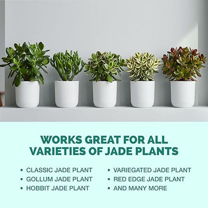 TPS NUTRIENTS Jade Fertilizer for All Jade and Crassula Plants, Liquid Plant Food, 32 oz (1 Quart)