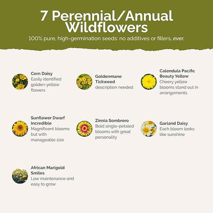 Eden Brothers Mellow Yellow Flower Mixed Seeds for Planting, 1 lb, 480,000+ Seeds with Painted Daisy, Zinnia, Cosmos | Attracts Pollinators, Plant in Spring or Fall, Zones 3, 4, 5, 6, 7, 8, 9, 10
