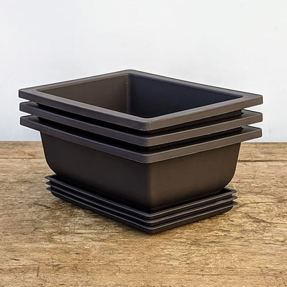 Tinyroots Bonsai Soil Plus a Three Pack of Six-Inch Training Bonsai Pots
