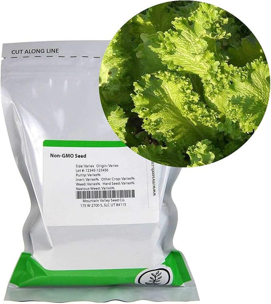 Southern Giant Curled Mustard Seeds: 1 Lb - Non-GMO Seeds for Herb Gardening, Growing Microgreens, Vegetable Garden