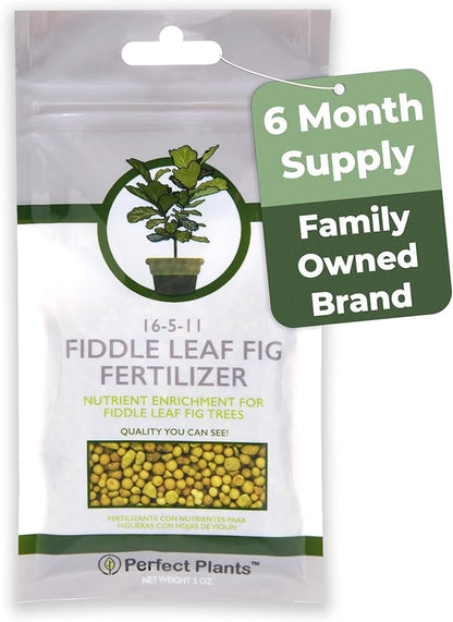 Fiddle Leaf Fig Slow-Release Fertilizer by Perfect Plants - Resealable 5oz. Bag - Consistent Nutrient Enrichment - for Indoor and Outdoor Use on All Ficus Varieties