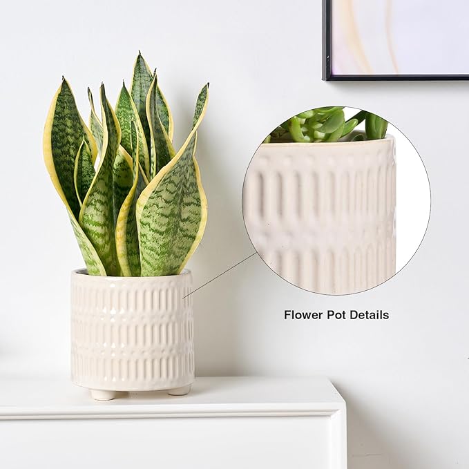5 Inch Ceramic Planters for Indoor Plants, White Cactus Snake Plant Pots with Drainage, Unique Design Round Flower Pot for Home Decoration