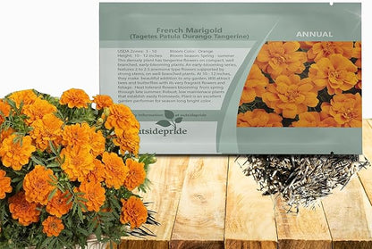 Outsidepride Durango Tangerine French Marigold Seeds - 500 Pcs Annual, Compact, Heat & Drought Tolerant Flower Seeds for Planting w/Anemone Type Blooms, Ideal for Vibrant Pollinator Gardens
