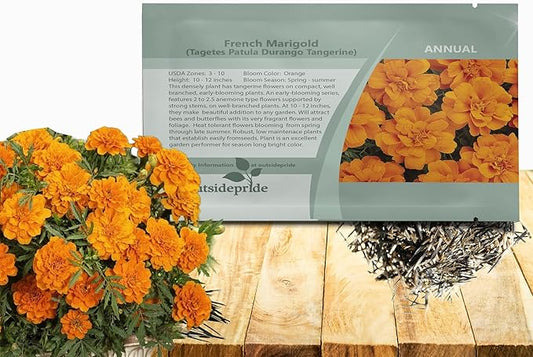 Outsidepride Durango Tangerine French Marigold Seeds - 250 Pcs Annual, Compact, Heat & Drought Tolerant Flower Seeds for Planting w/Anemone Type Blooms, Ideal for Vibrant Pollinator Gardens