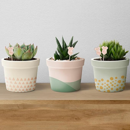 30Pcs Baby in Bloom Succulent Tags Wedding Favors, Hexagon Plant Sticks Wooden Stake Signs for Wedding Bridal Shower Baby Shower Decorations Anniversary Succulent Party Wraps for Favors